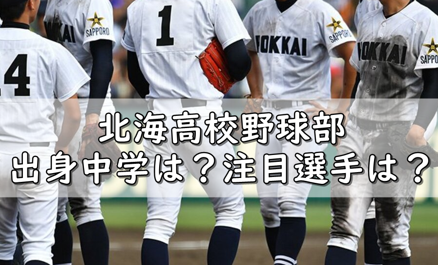 北海高校野球部メンバー21 出身中学や注目選手 令和の知恵袋