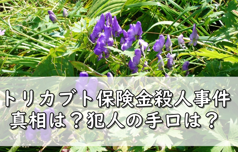 トリカブト保険金殺人事件とは 犯人の手口や動機は トリックは 令和の知恵袋