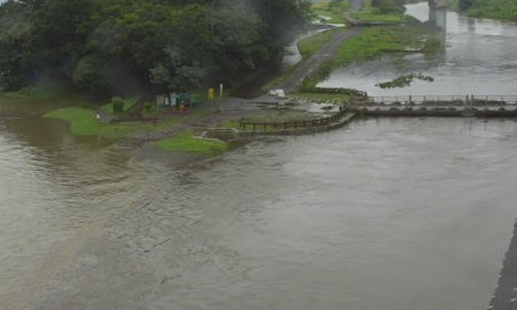 野川 三鷹 氾濫危険 現在の水位 ライブカメラは 兵庫島は水没 令和の知恵袋
