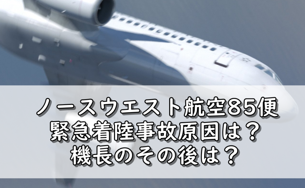 LOTポーランド航空16便胴体着陸事故